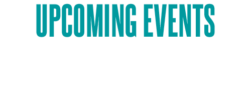 The Social Connection